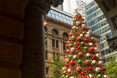 Charter Christmas Adventures: Our Guide to enjoying the festive season in Sydney!